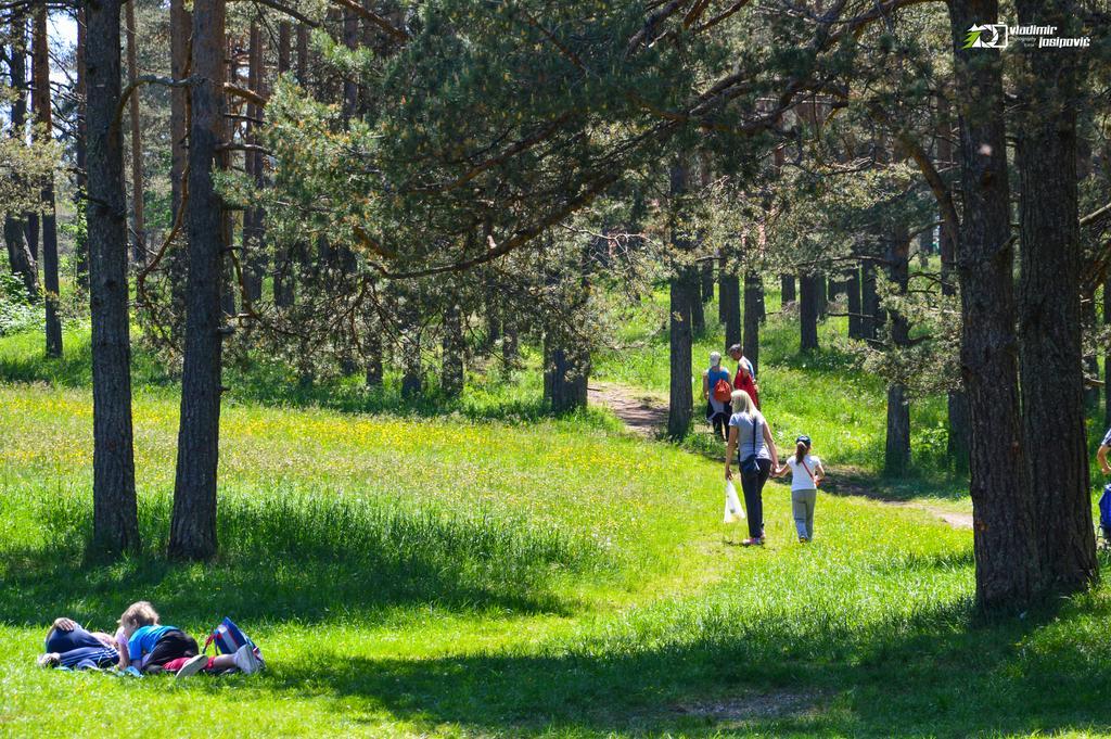 Apartments Josipovic Zlatibor Extérieur photo