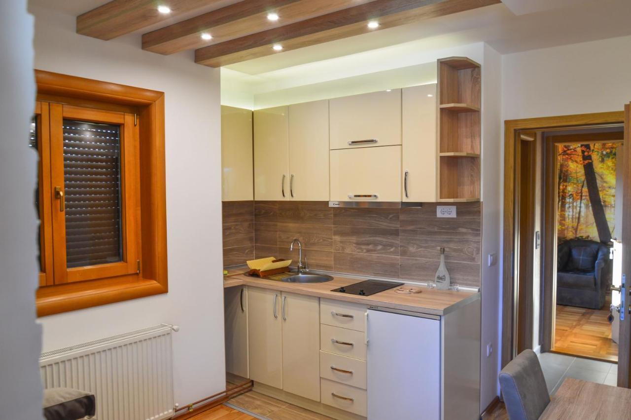 Apartments Josipovic Zlatibor Extérieur photo